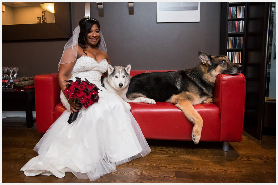 Bride with her dogs